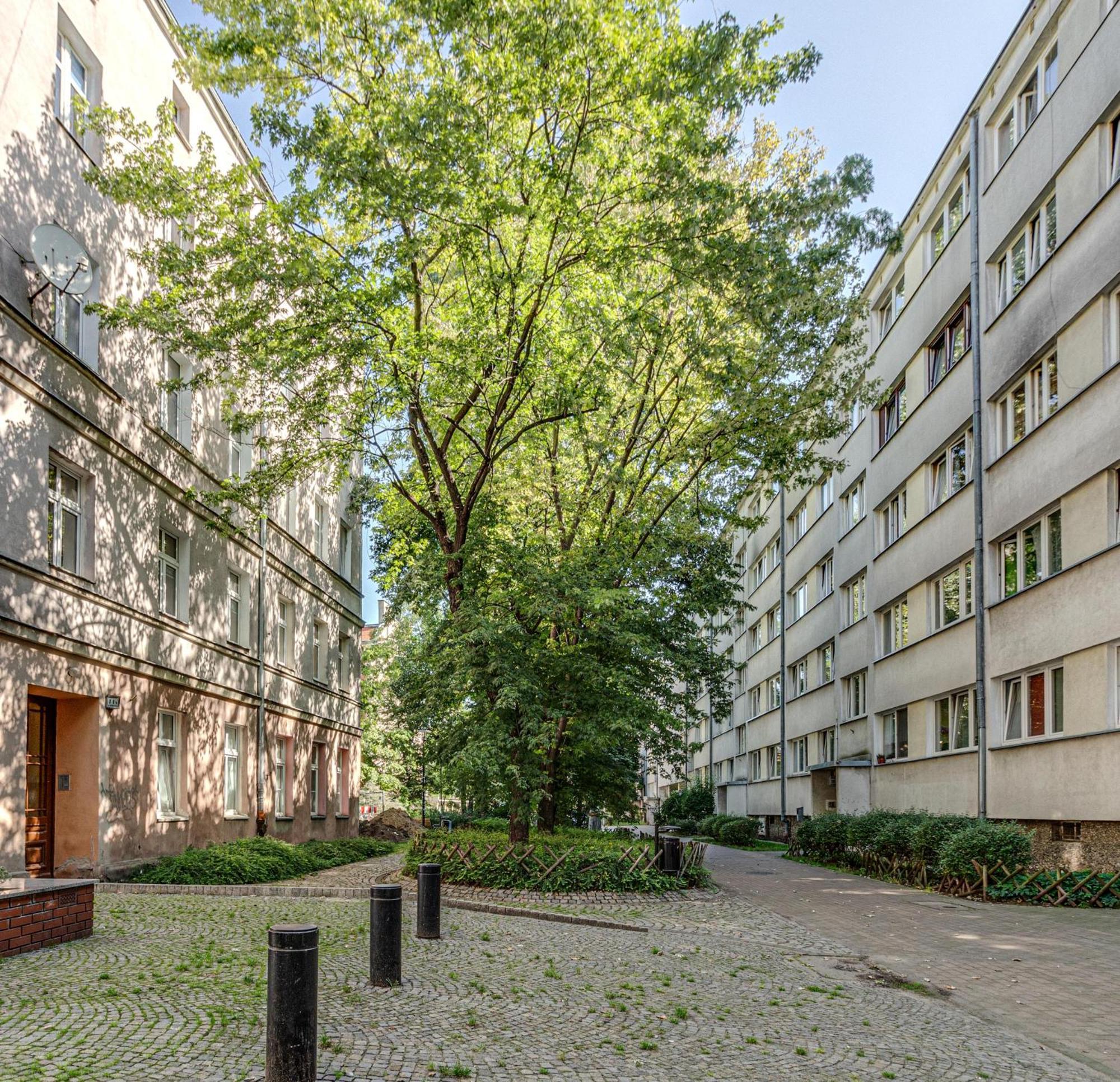 Rentplanet - Studio Nadodrze Wrocław Exterior foto